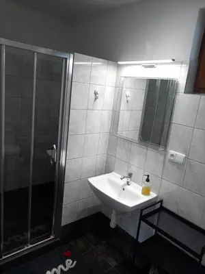 a bathroom with a sink and a shower at Nižbor samostatný domek v zahradě in Nižbor