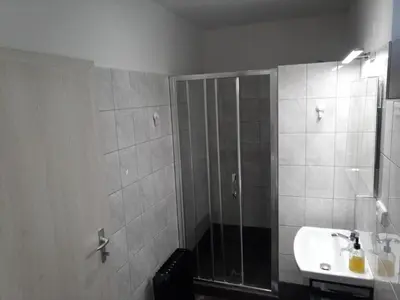 a bathroom with a shower and a sink at Nižbor samostatný domek v zahradě in Nižbor