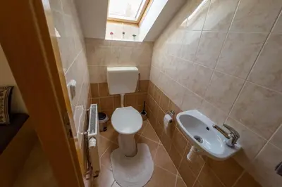 a small bathroom with a toilet and a sink at Apartmán Tereza in Poděbrady