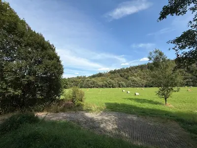 a herd of sheep grazing in a grass field at Chata Křivoklát in Křivoklát