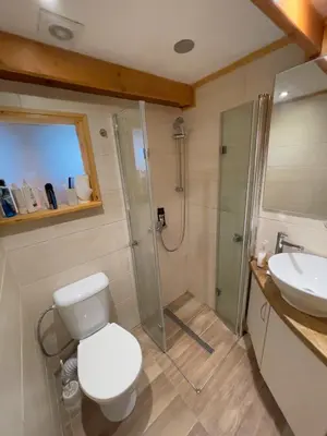 a bathroom with a toilet and a shower and a sink at Chata Křivoklát in Křivoklát