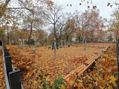 a park with autumn leaves on the ground at AuriApartments Karlín 2KK s terasou a parkováním in Prague