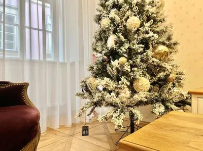 a plant in a white vase on a table with books at Extraordinary Prague Apartment in Prague