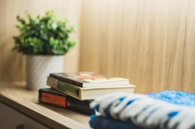 a stack of books on a table with a potted plant at Extraordinary Prague Apartment in Prague